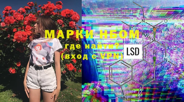 MESCALINE Елизово