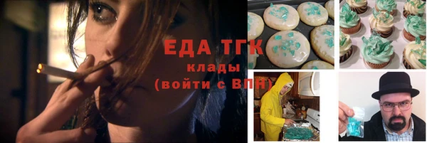 скорость Ельня