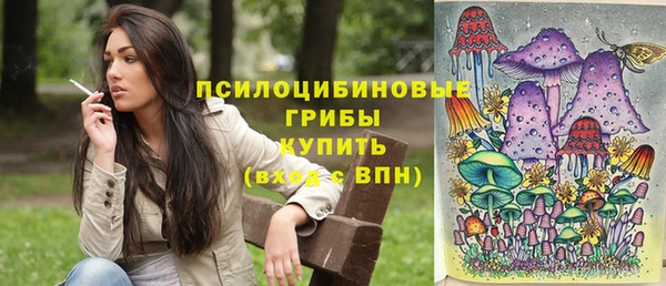 MESCALINE Елизово