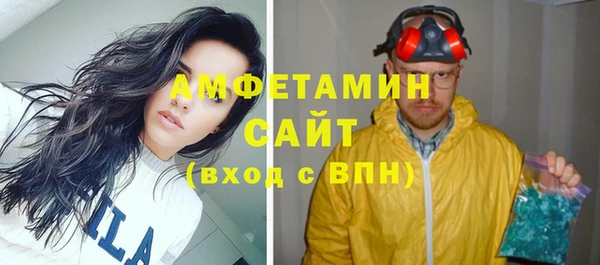 скорость Ельня