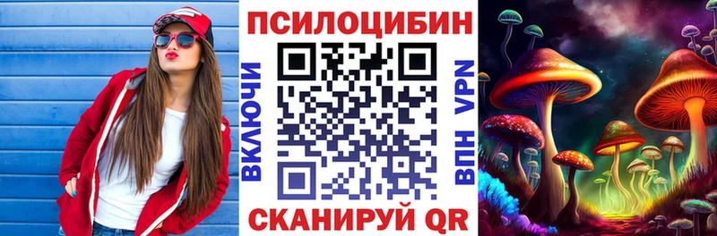 Галлюциногенные грибы Psilocybine cubensis  Купить закладки  Семёнов 