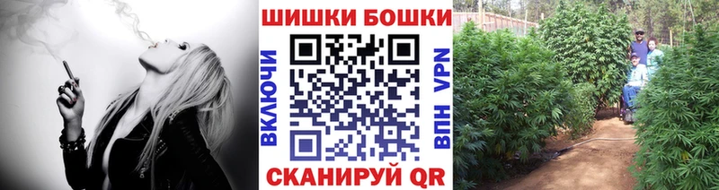 Канабис планчик  Купить где  Семёнов 